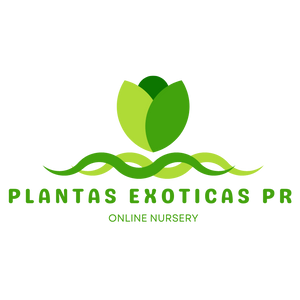 Plantas Exoticas PR