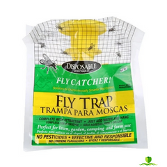 Fly Trap